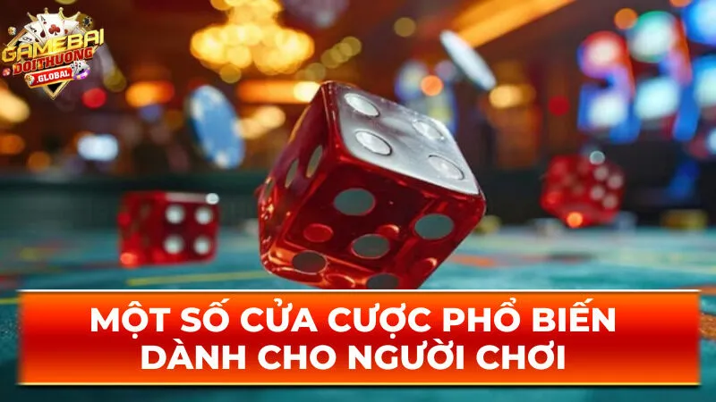 Một số cửa cược phổ biến dành cho người chơi